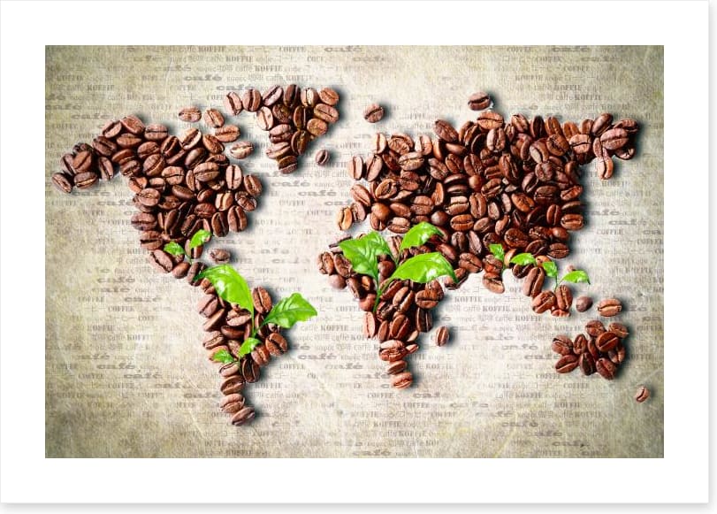 A world of coffee - Image 2