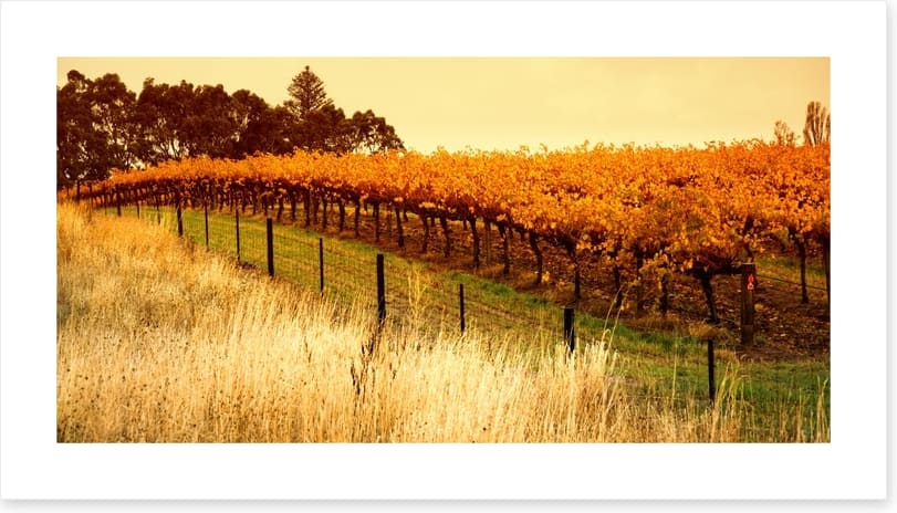 Adelaide - Image 2