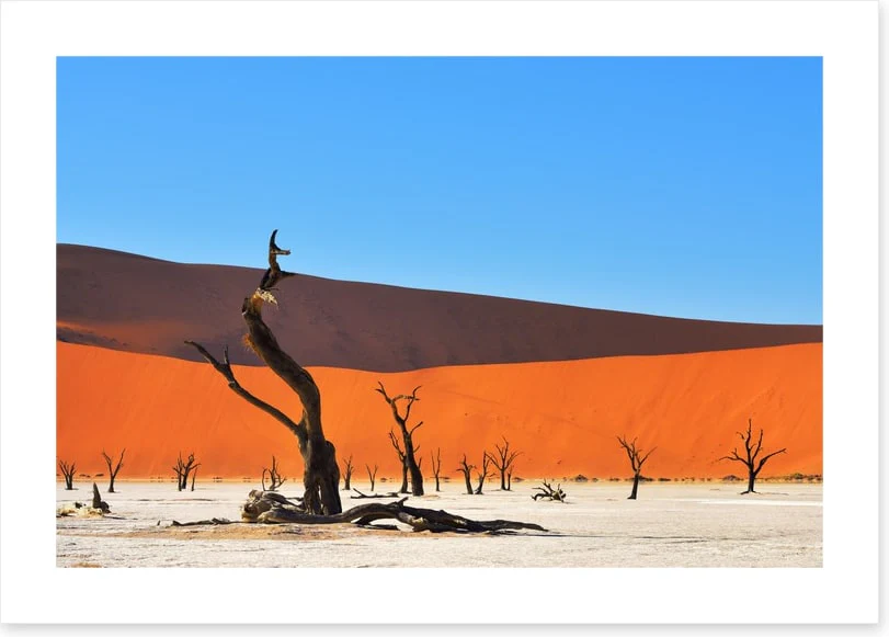 Africa - Image 2