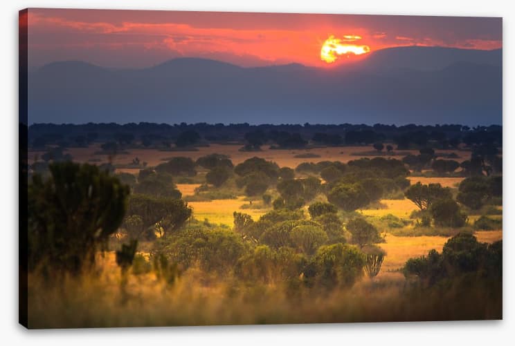 Africa - Image 2