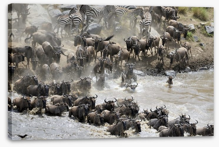 Africa - Image 2