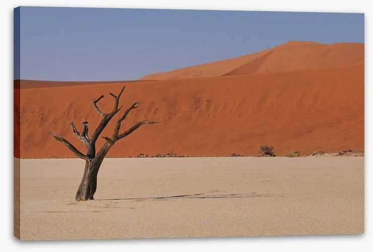 Africa - Image 2
