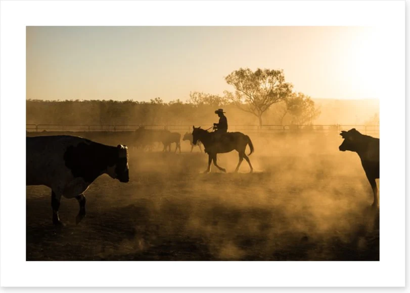 Agriculture - Image 2