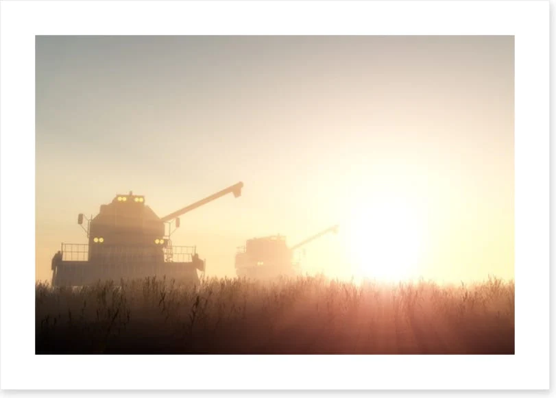 Agriculture - Image 2
