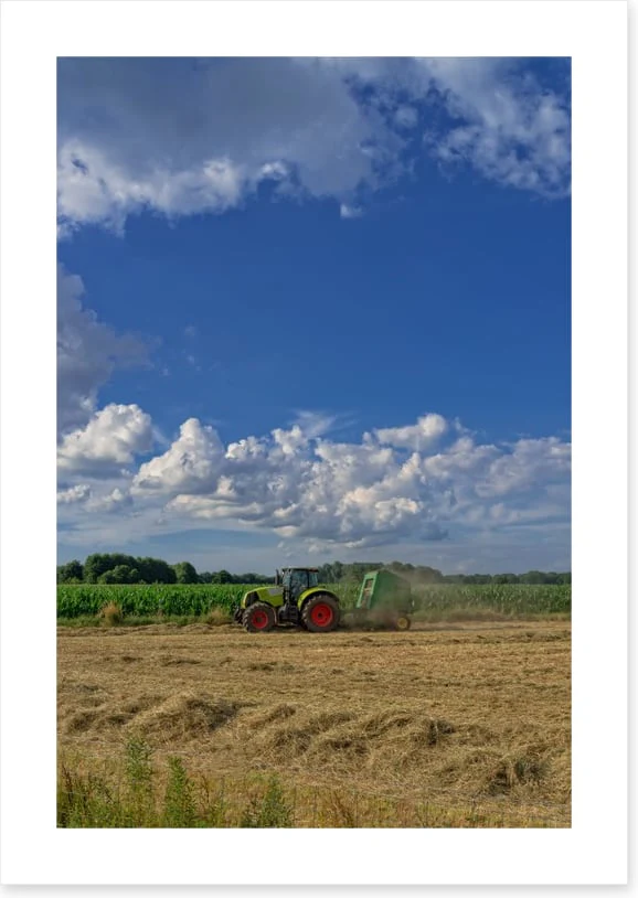 Agriculture - Image 2
