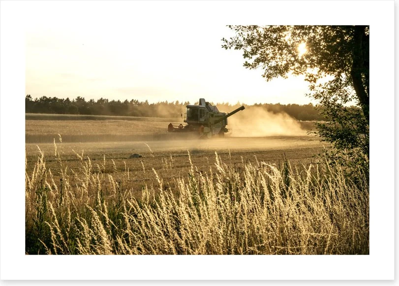 Agriculture - Image 2