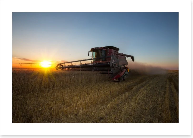 Agriculture - Image 2