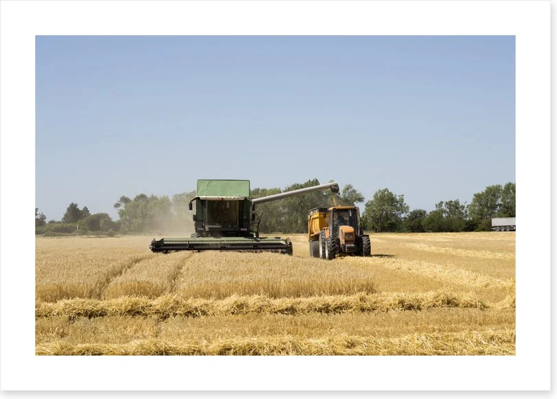 Agriculture - Image 2