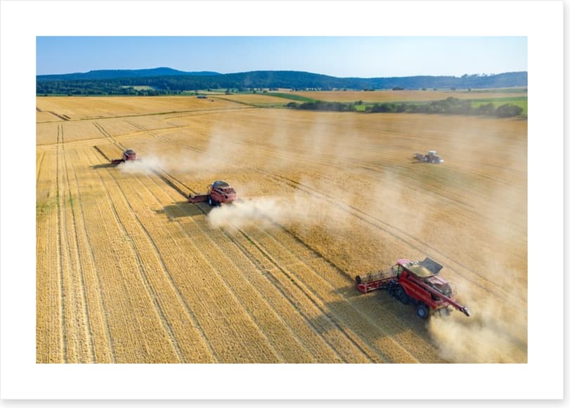Agriculture - Image 2