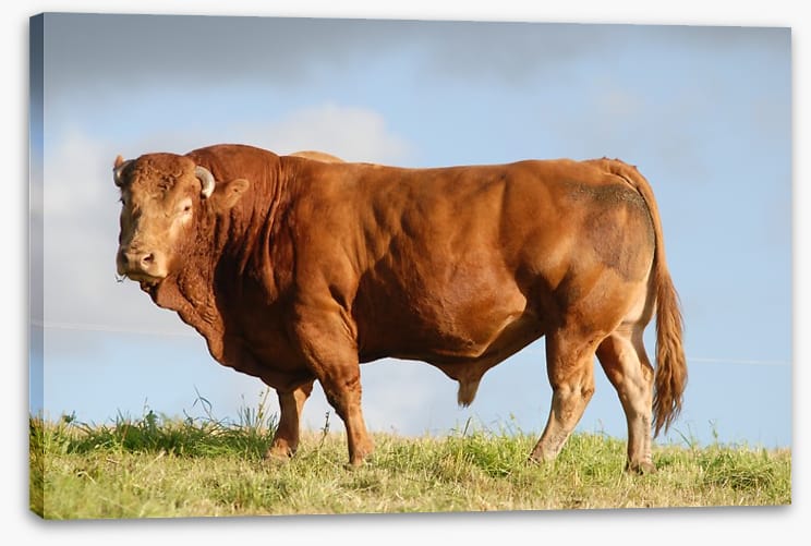 Agriculture - Image 2