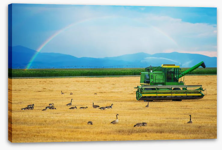 Agriculture - Image 2