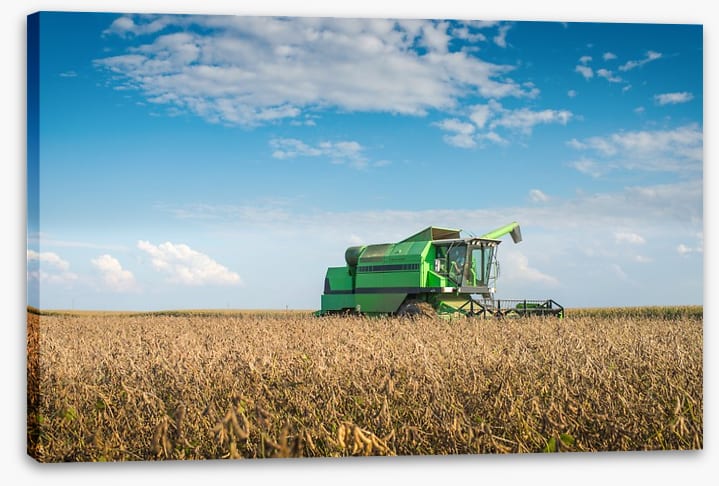 Agriculture - Image 2