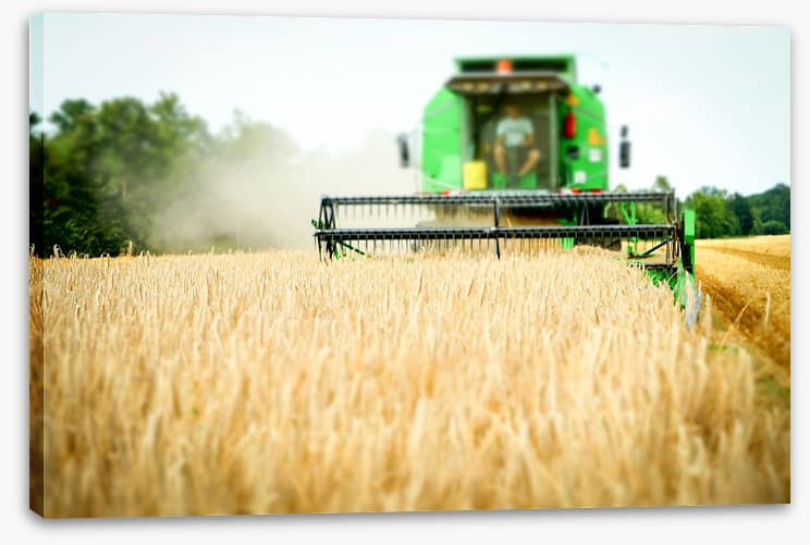 Agriculture - Image 2