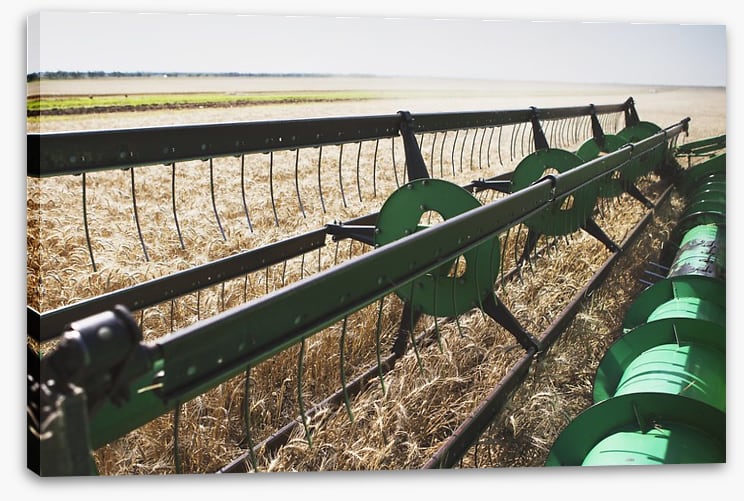Agriculture - Image 2