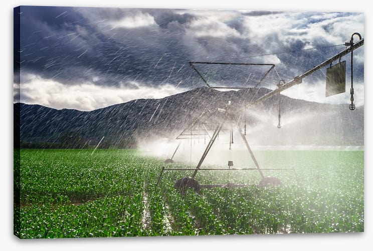Agriculture - Image 2
