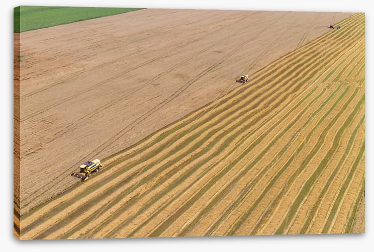 Agriculture - Image 2
