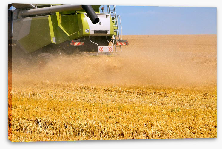 Agriculture - Image 2
