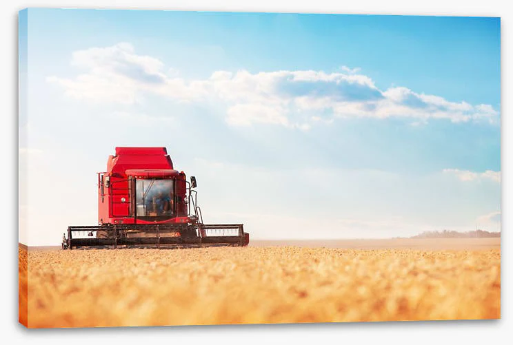 Agriculture - Image 2