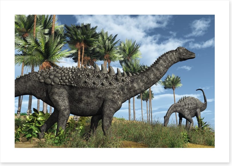 Ampelosaurus amble - Image 2