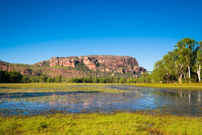 Anbangbang Billabong