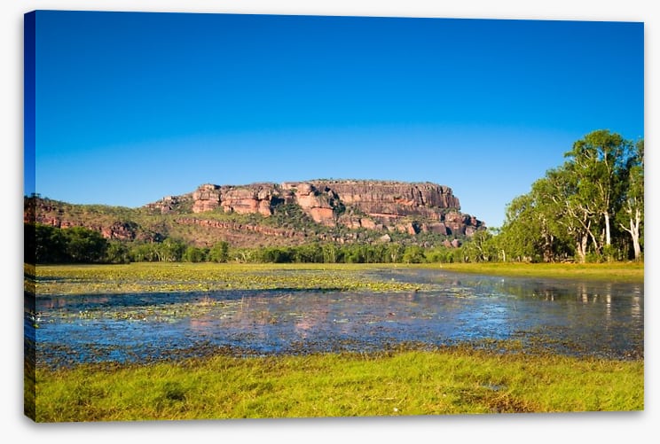 Anbangbang Billabong - Image 2