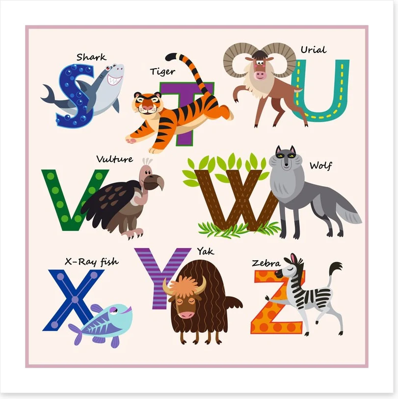Animal ABC - part 3 - Image 2