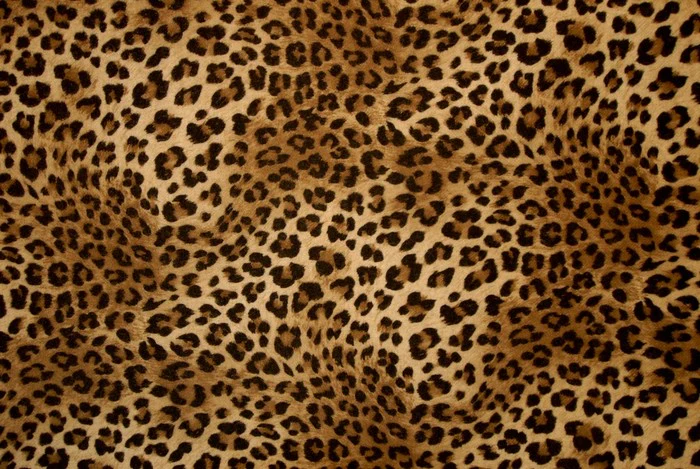 Animal Print