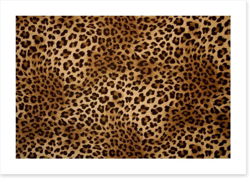 Animal Print - Image 2