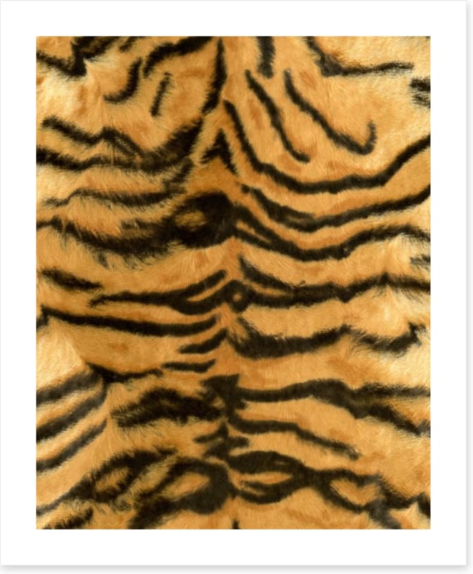Animal Print - Image 2