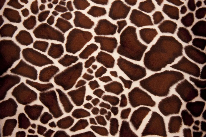 Animal Print
