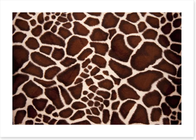 Animal Print - Image 2