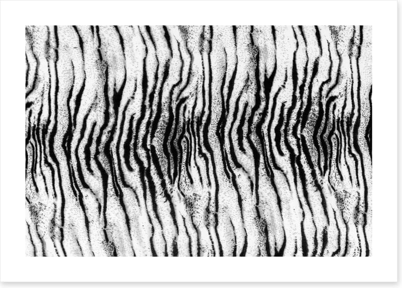 Animal Print - Image 2