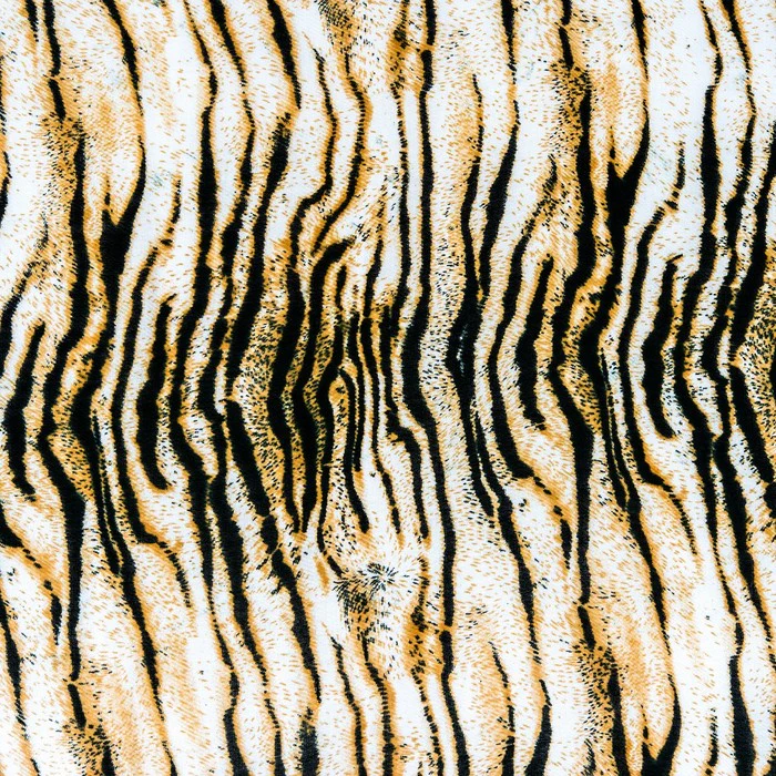 Animal Print