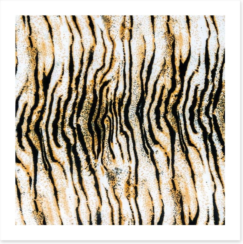Animal Print - Image 2