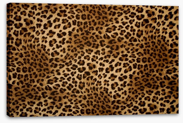 Animal Print - Image 2