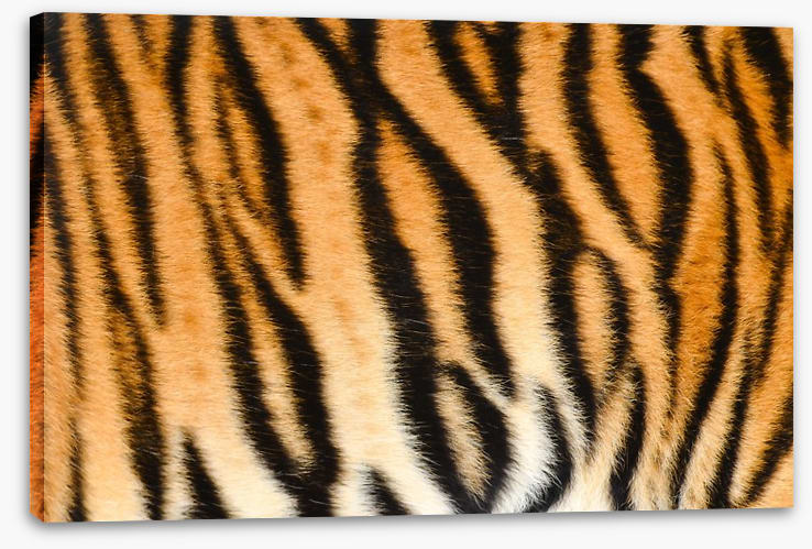 Animal Print - Image 2