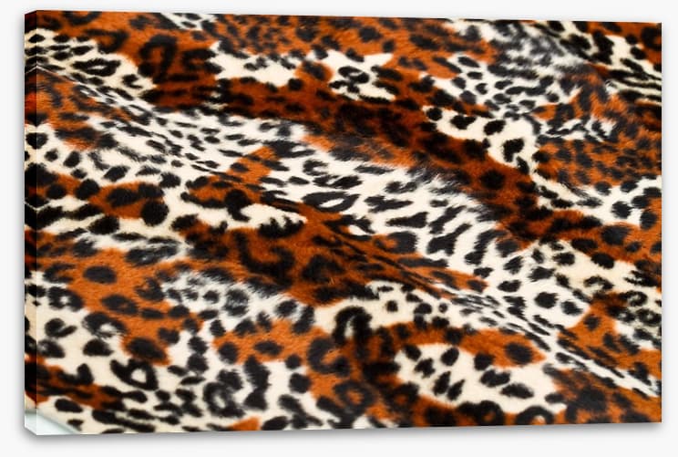 Animal Print - Image 2