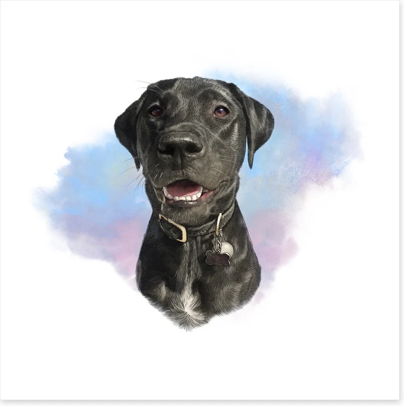 Animals - Image 2
