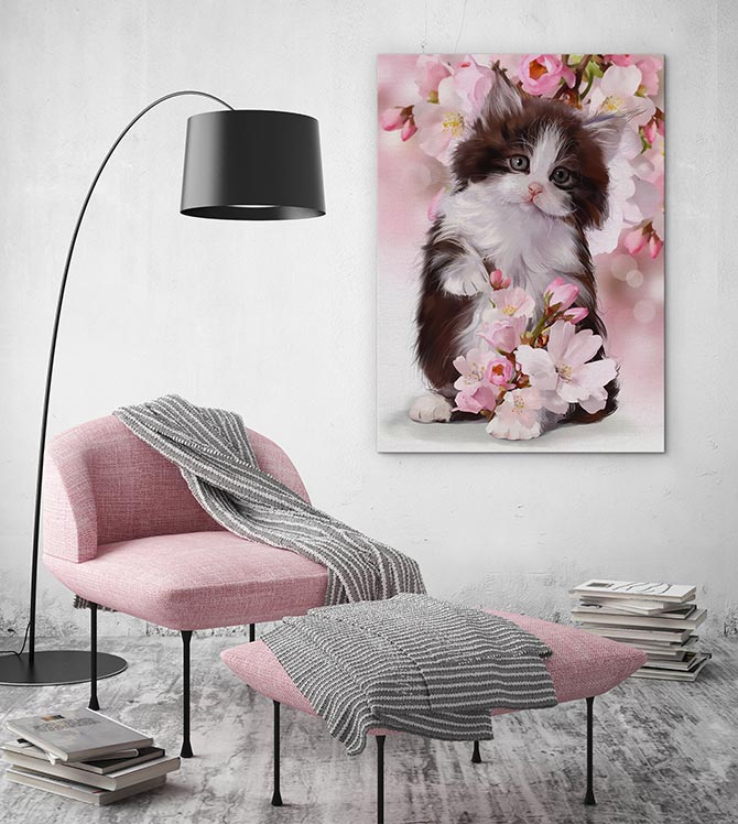 Kitten in the blossom - Image 3