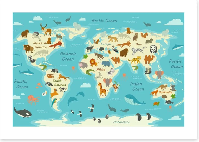 Animals of the world - Image 2