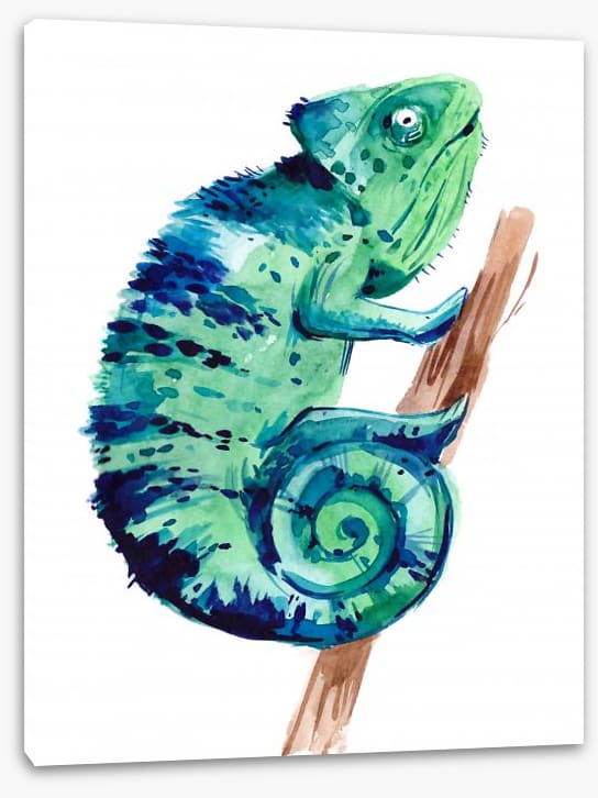 Animals - Image 2