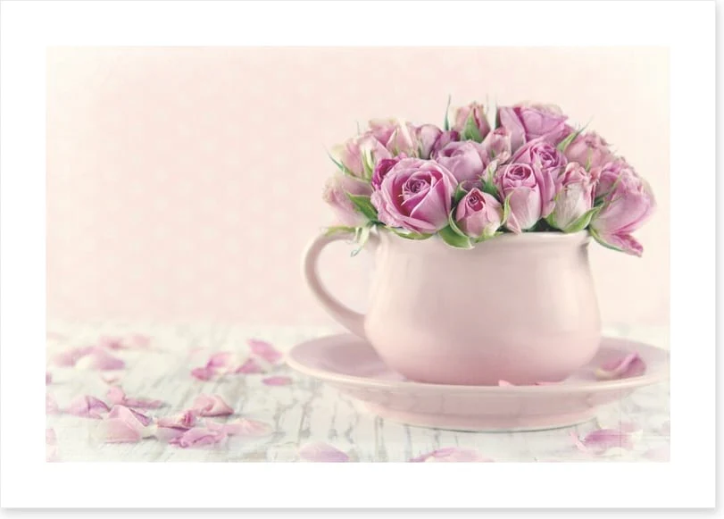 Antique roses - Image 2
