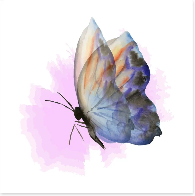 Aquarelle butterfly - Image 2