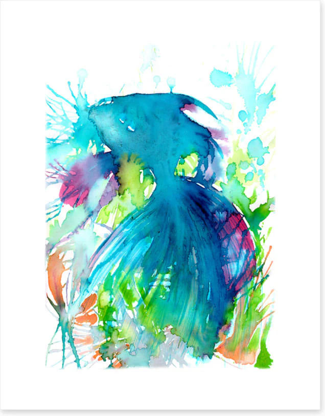 Aquaria - Image 2