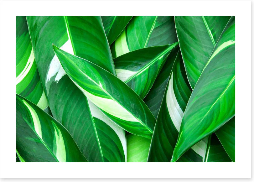 Au naturale - Image 2