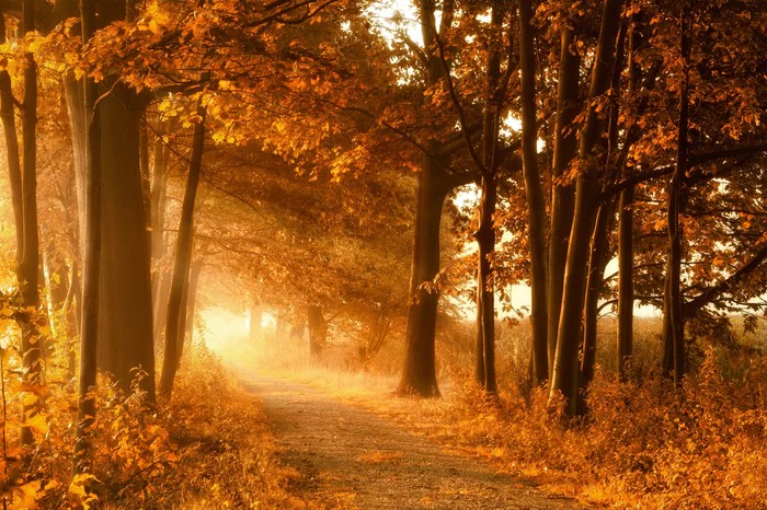 Autumn