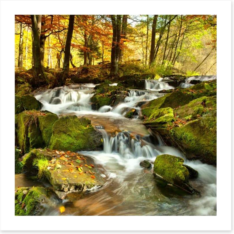 Autumn flows - Image 2
