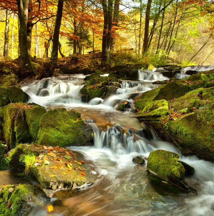Autumn flows