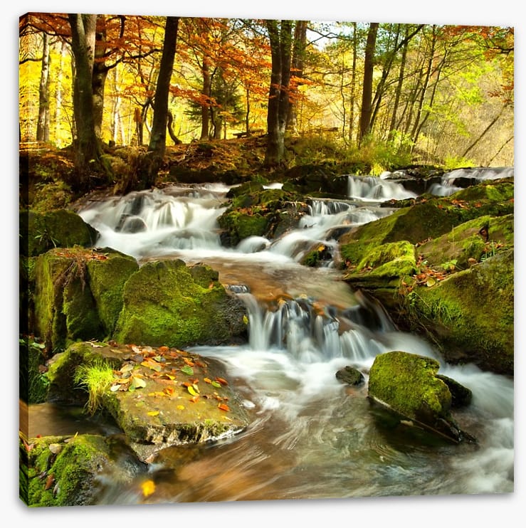 Autumn flows - Image 2