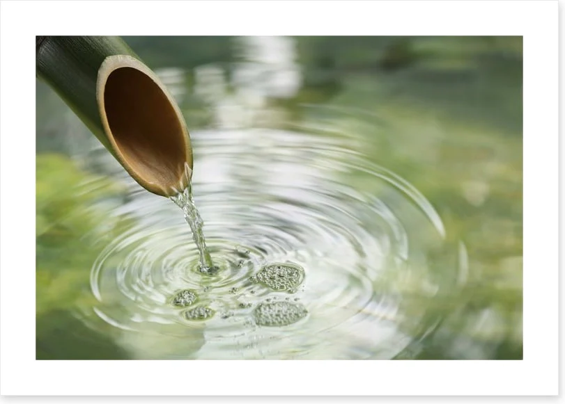 Bamboo fountain - Image 2